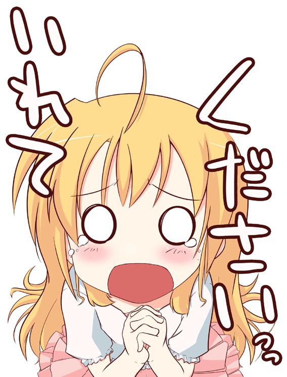 いれてくださいっっ