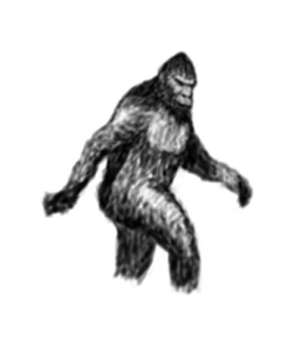 big foot
