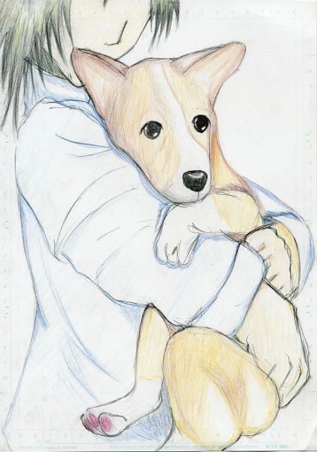 犬。