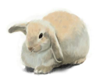 たれてる