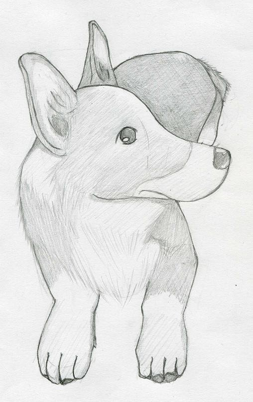 犬。