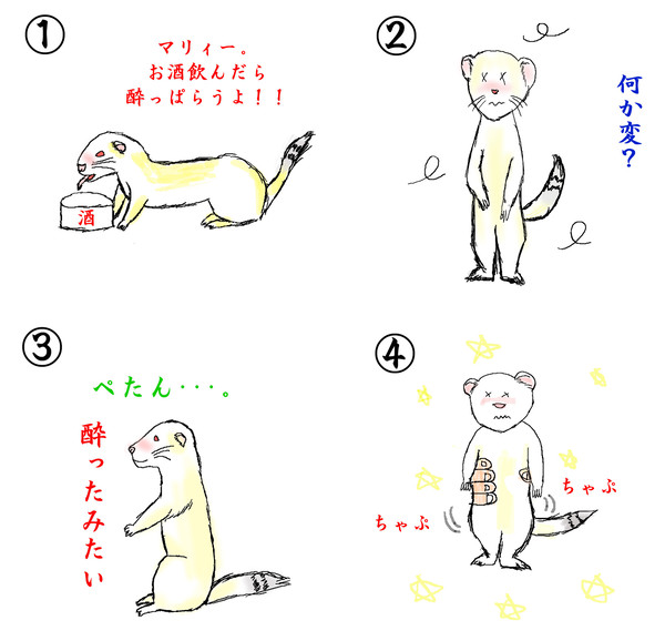 ﾏﾘｨｰの夢（フェレット、♀）