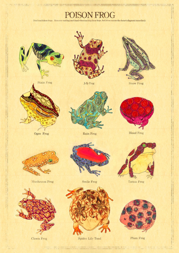 Poison Frog