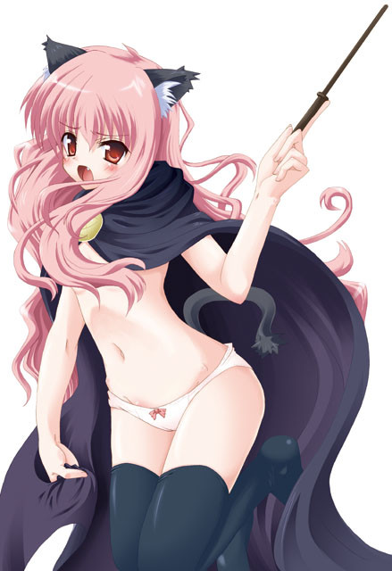 にゃー