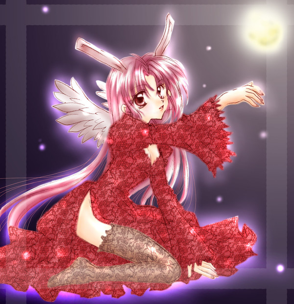 月夜のめろこ