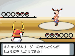 せんとくんがジムリーダーになりました