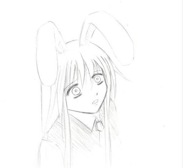 月兎の波動