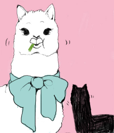 アルパカ２