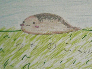 もっちり