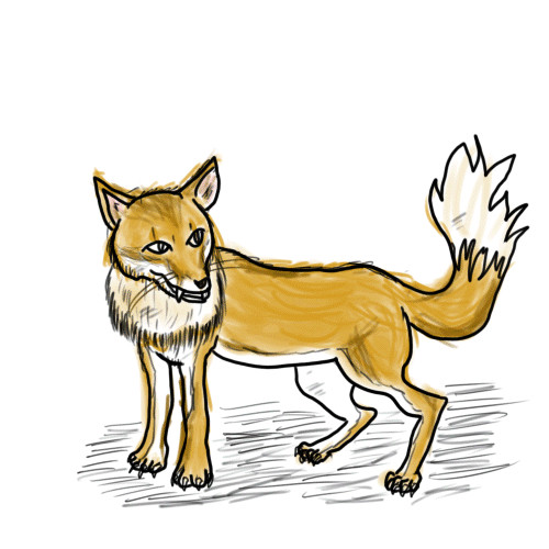 キツネ