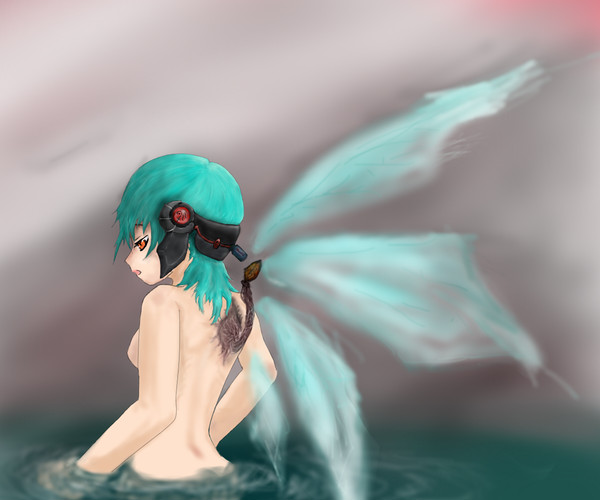 薄き羽