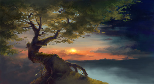 SunsetTree