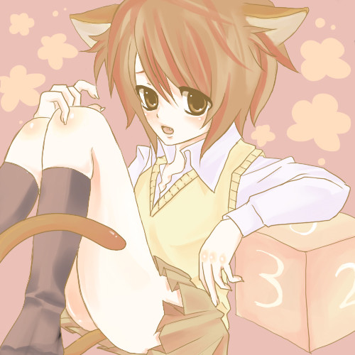 おとこにょこ