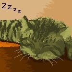 昼寝をする猫１