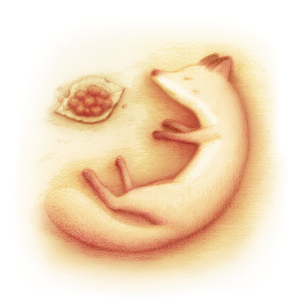 ごんぎつね