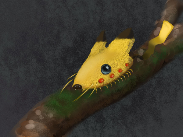 【ポケット】ピカ虫【モンスター】