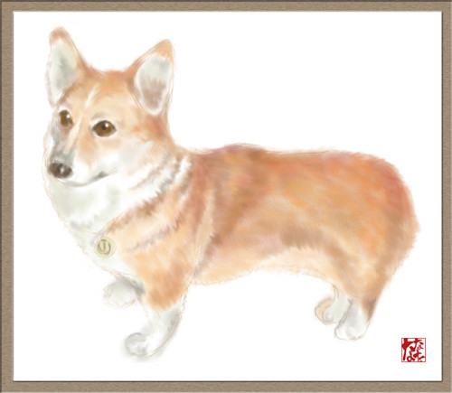 わんこ