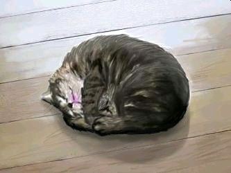 昼寝をする猫２
