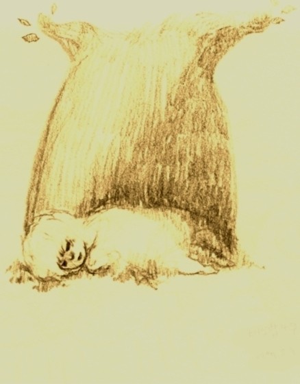 baobab