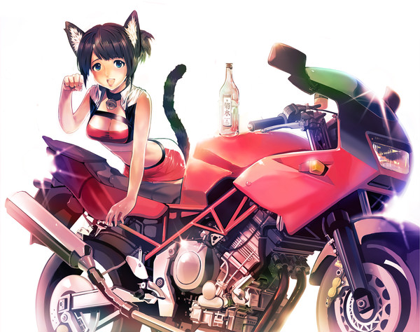 まねきねこのポーズ