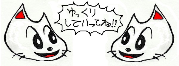 ゆっくりオーケン猫