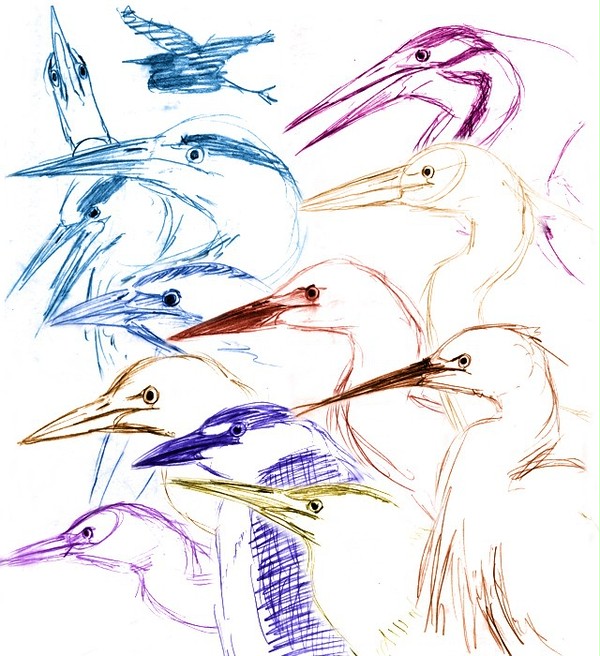 サギ10種