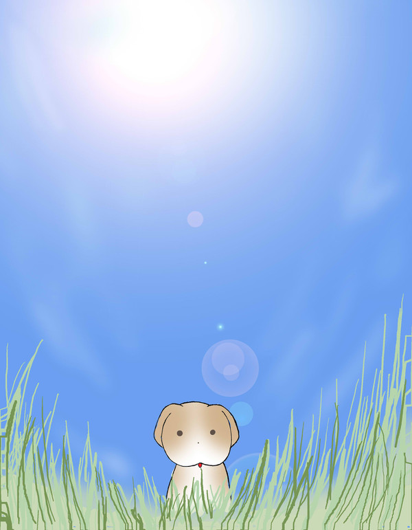 犬
