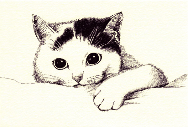 neco