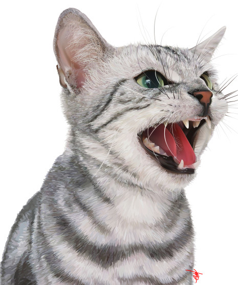 ネコ