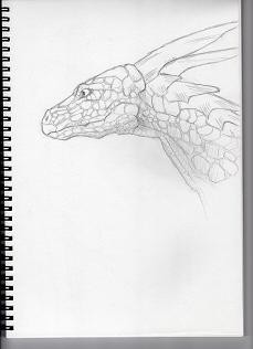 ドラゴンの頭