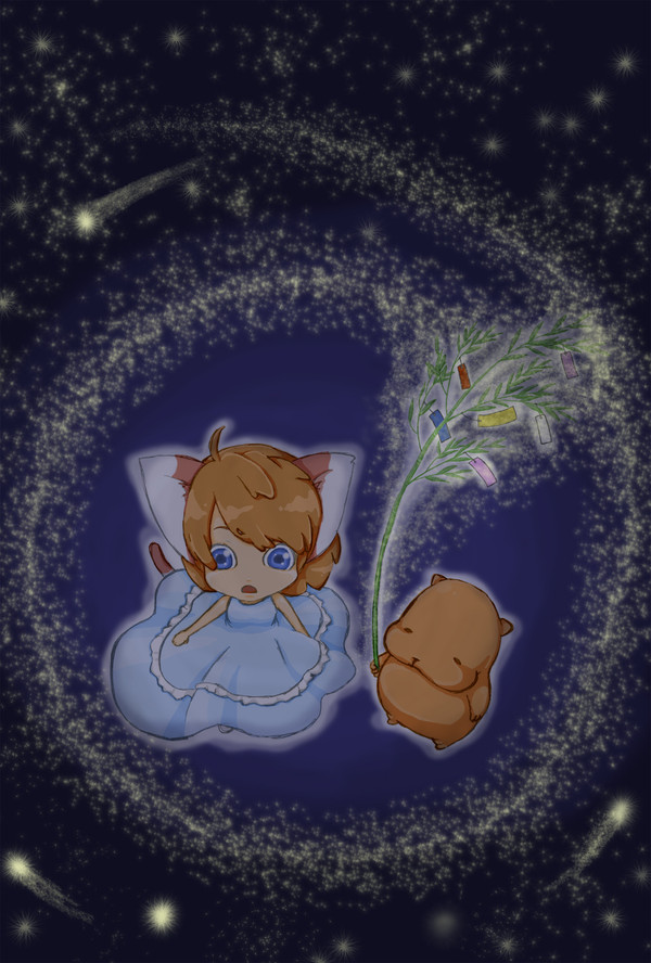 七夕の夜