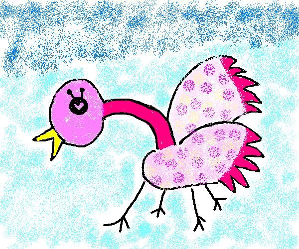 鳥の種類？