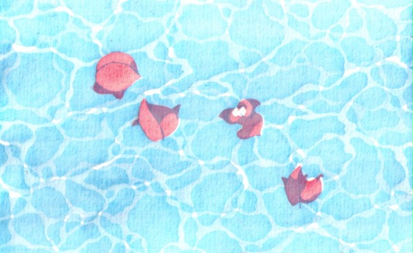 水に浮かぶ花