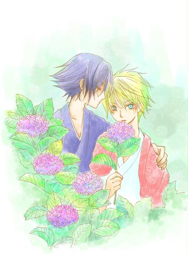 紫陽花