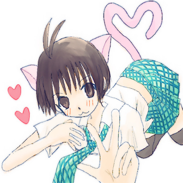 まこにゃん