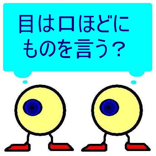 目は口ほどにものを言う？