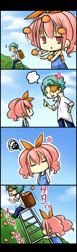 オレンジ畑で。