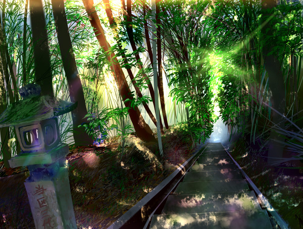 木漏れ日のある風景　レンズフレア