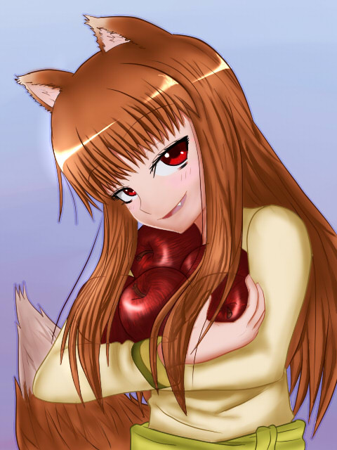ホロ、完成