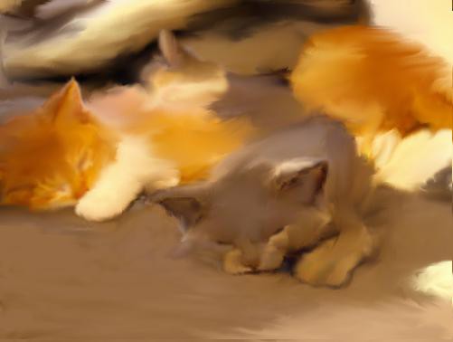 ねこ