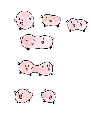 連カビ
