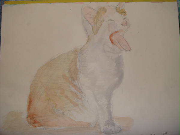 ねこ