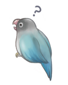 天然インコ2
