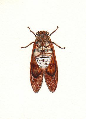 抱きついてもいいですか