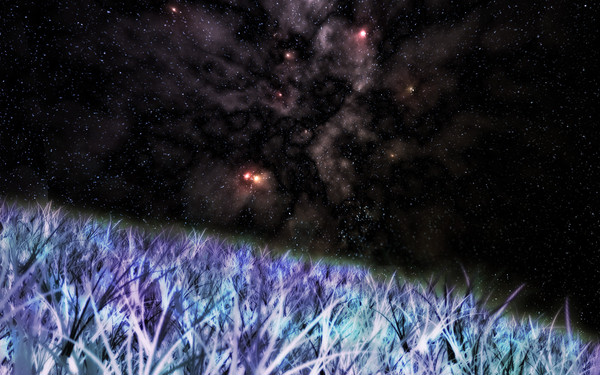 夜空