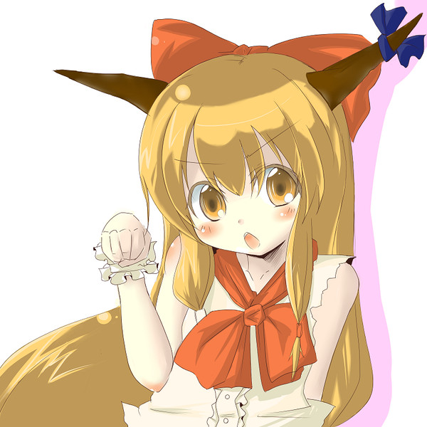 どこぞの猫なんか目じゃない