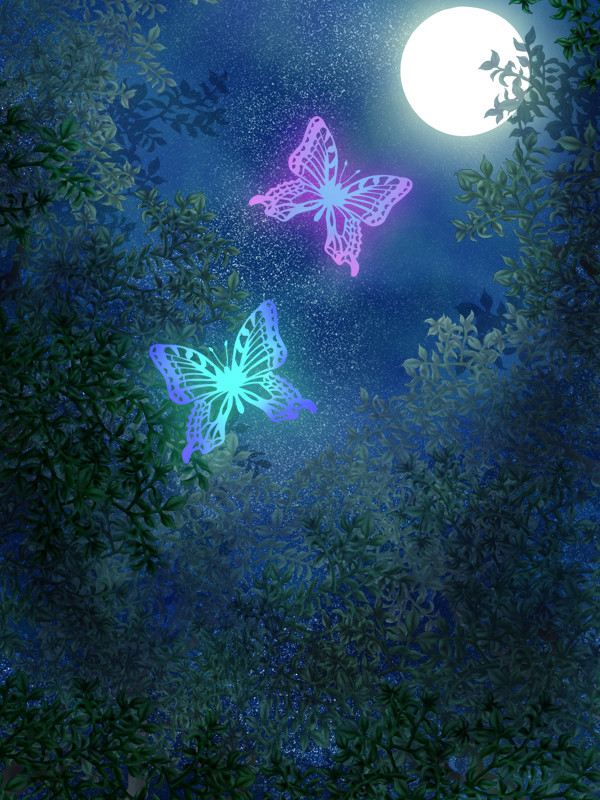夜の森