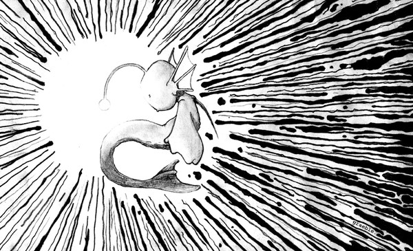 照明のポイント