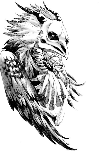 鳥の人