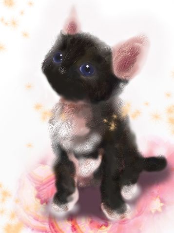 くろにゃんこ
